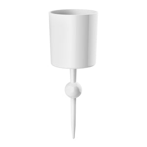 Seashell White Caribbean - the beach glass